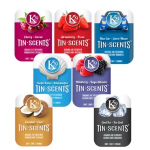 Aromatizante Tin Scents